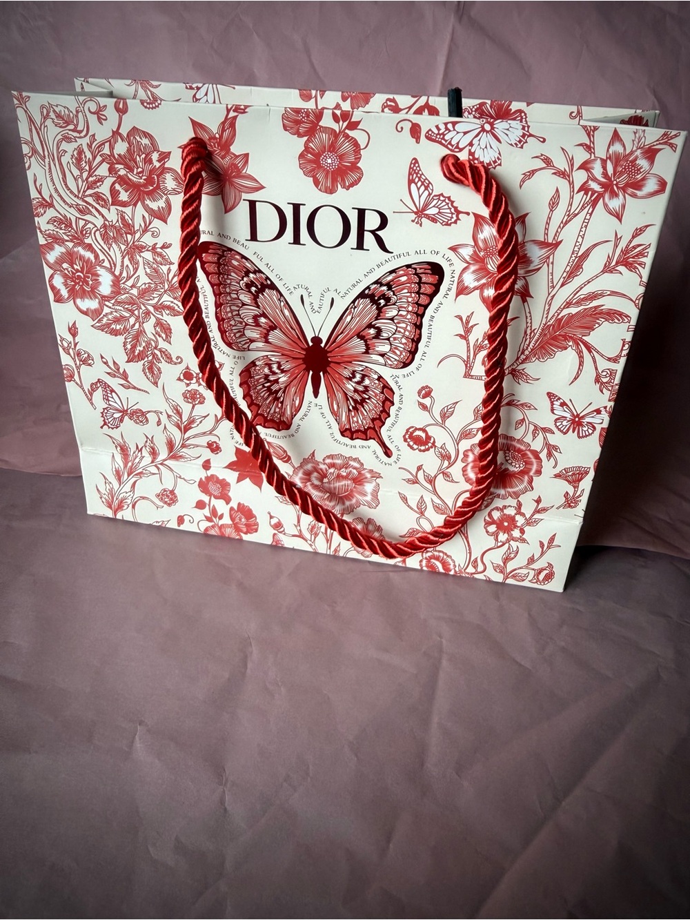 Dior LIMITED EDITION Gift Bag&Box: Butterfly and floral "Toile de Jouy" Pattern - Picture 3 of 8